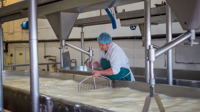 Travailleur d'une usine de fromage en train d'ajuster la machine.