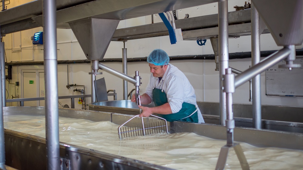 Travailleur d'une usine de fromage en train d'ajuster la machine.