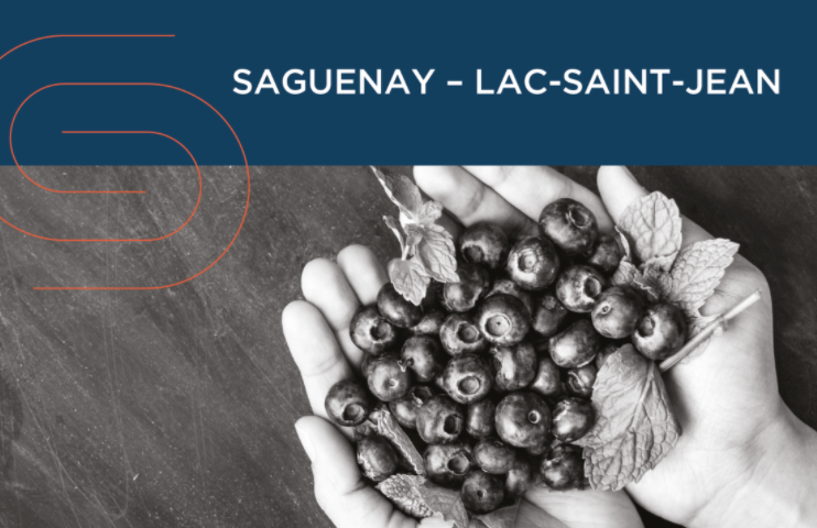 Région Saguenay-Lac-Saint-Jean CSD