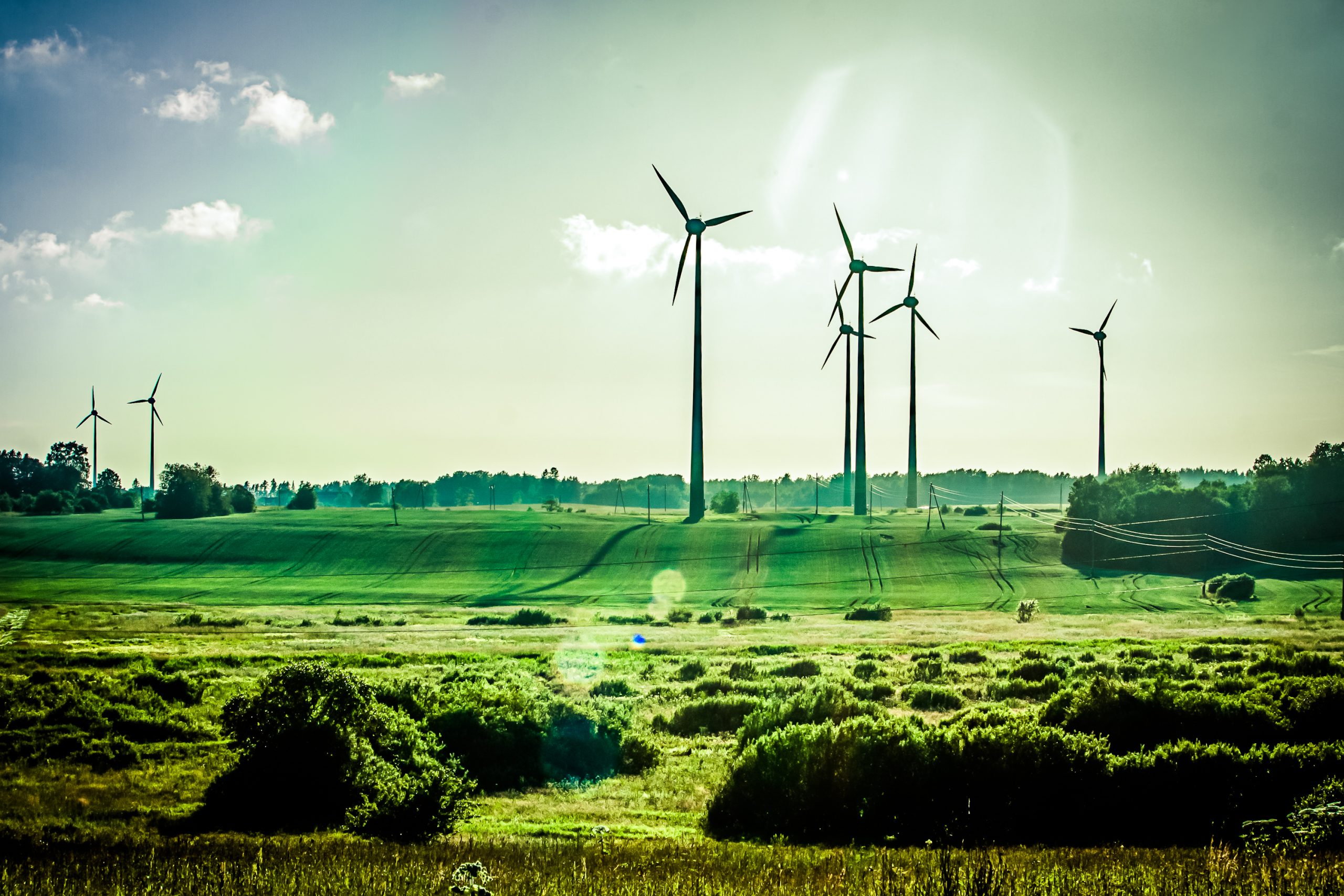 Éoliennes dans un champ verdoyant.